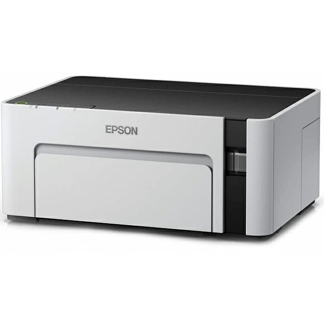 Ağ-qara cərəyan printeri Epson M1100 (CIS)
