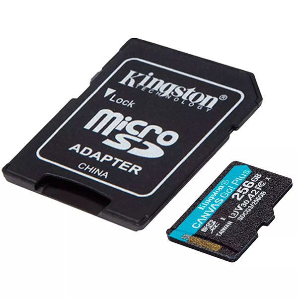 Kingston Canvas Go! Plus microSD 256GB SDCG3/256GB-N