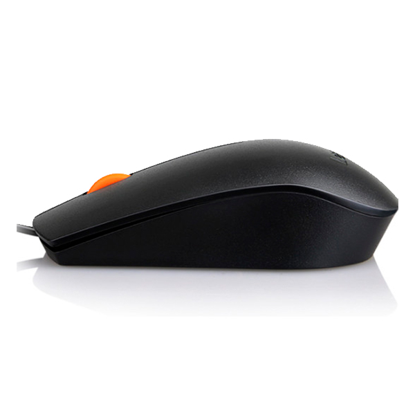 Lenovo Mouse 300 USB Wired (GX30M39704-N)