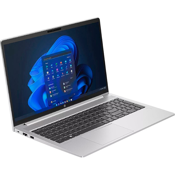 HP ProBook 450 G10 (9X1Q4ES)