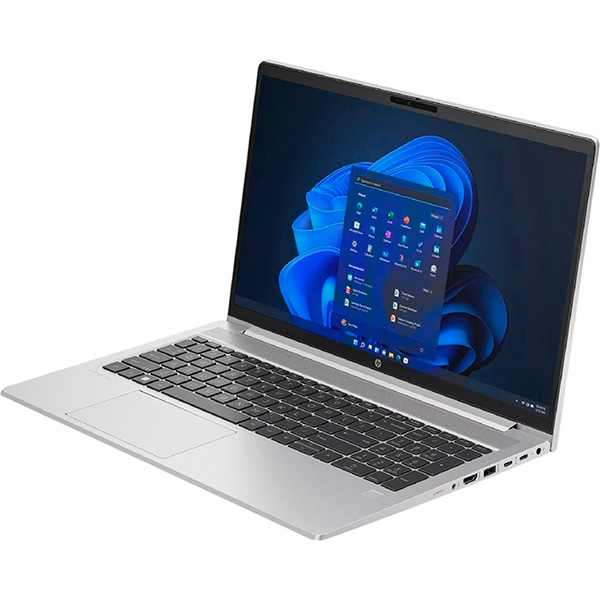 HP ProBook 450 G10 (9X1Q4ES)