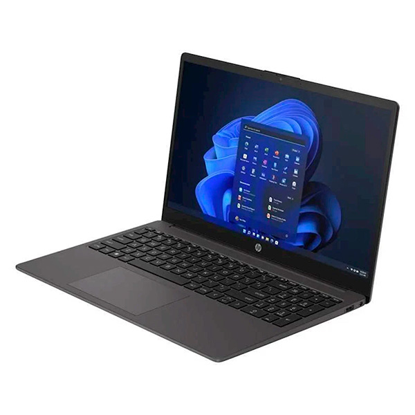 HP 250 G10 (8X9C9EA)