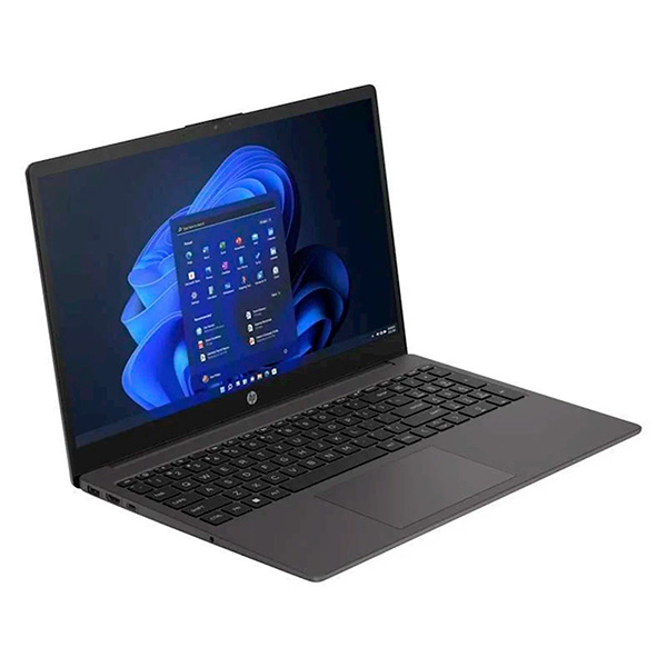HP 250 G10 (8X9C9EA)