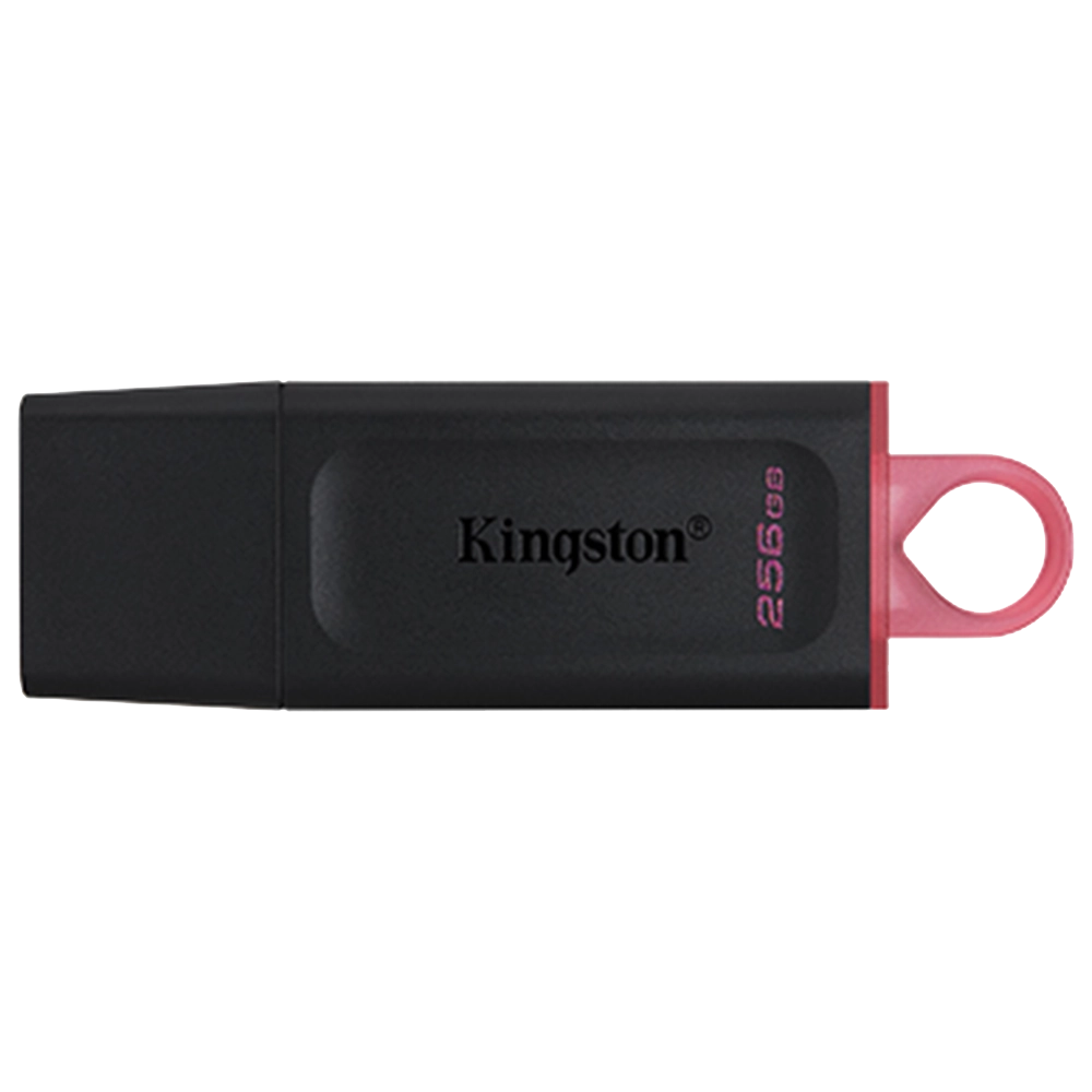 Kingston DataTraveler Exodia 256GB DTX/256GB-N
